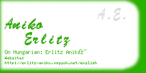 aniko erlitz business card